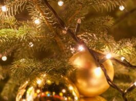 Besançon. Un premier concours des vitrines de Noël