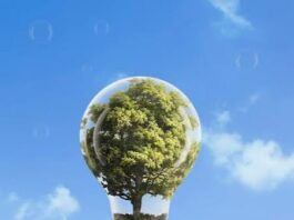 Économie. Un baromètre de la transition énergétique mené auprès de 1000 entreprises