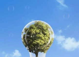 Économie. Un baromètre de la transition énergétique mené auprès de 1000 entreprises